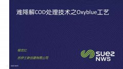 蘇伊士：難降解COD去除技術之Oxyblue臭氧生物濾池工藝（ppt）
