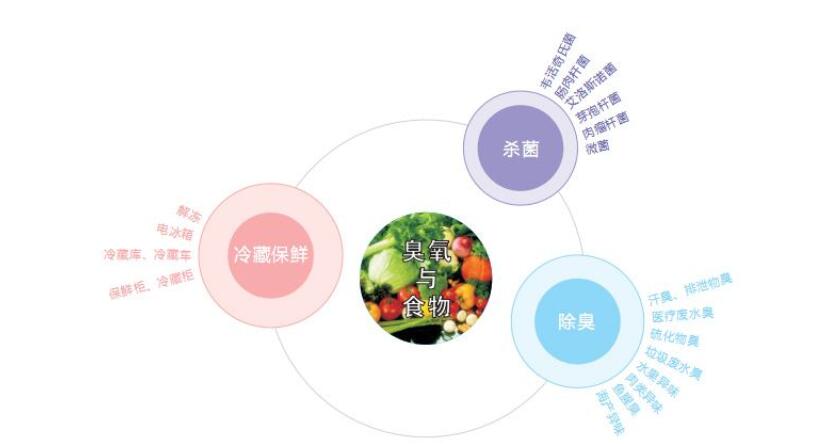 溫度濕度對臭氧消毒機(jī)滅菌效果的影響